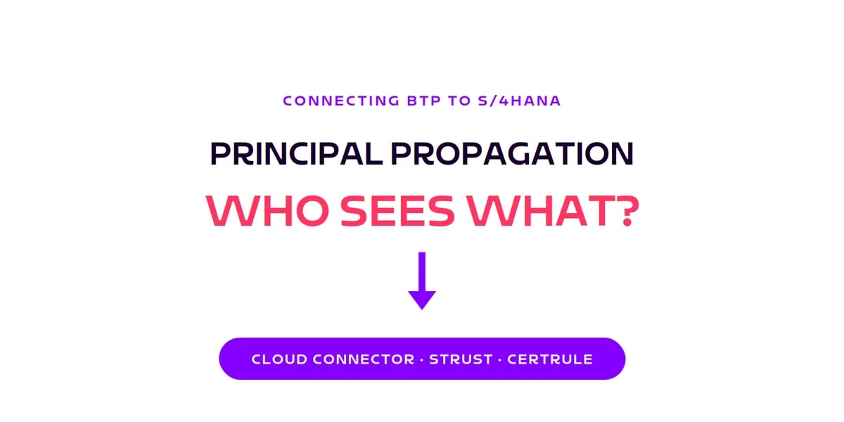 Blog card principal propagation: who sees what, Cloud Connector, STRUST, CERTRULE